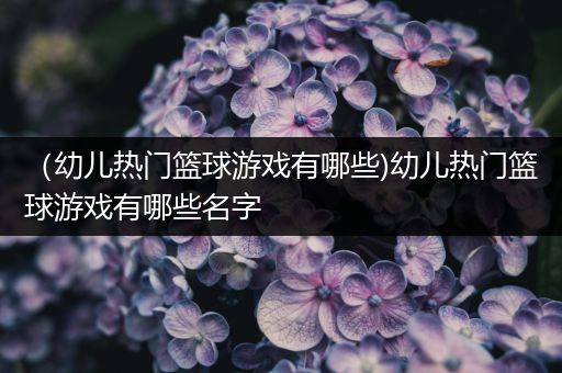 绳梯训练篮球_1